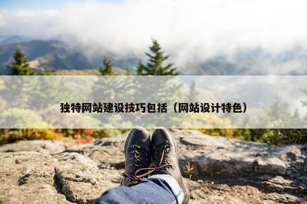 独特网站建设技巧包括（网站设计特色）