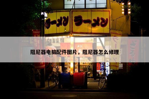 阻尼器电脑配件图片，阻尼器怎么修理
