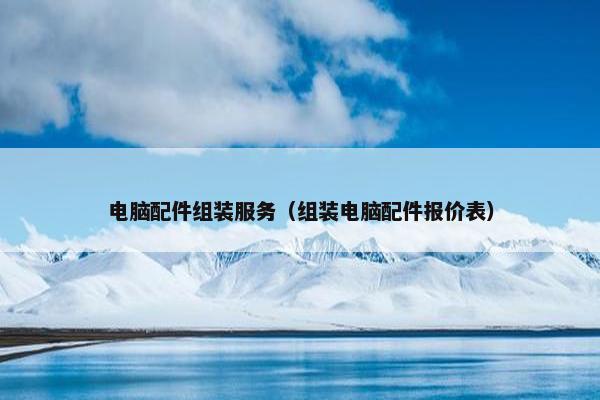 电脑配件组装服务（组装电脑配件报价表）