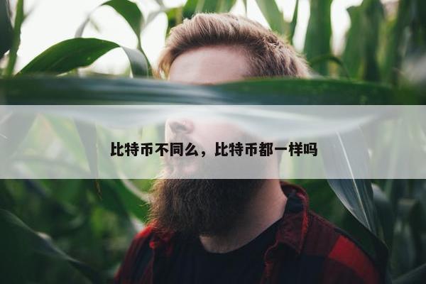 比特币不同么，比特币都一样吗