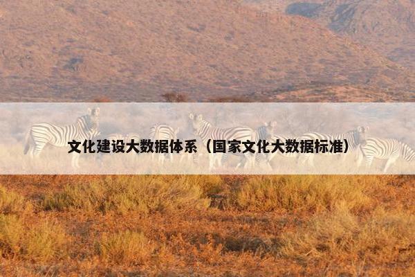 文化建设大数据体系（国家文化大数据标准）