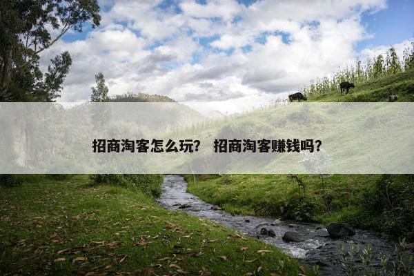 招商淘客怎么玩？ 招商淘客赚钱吗？