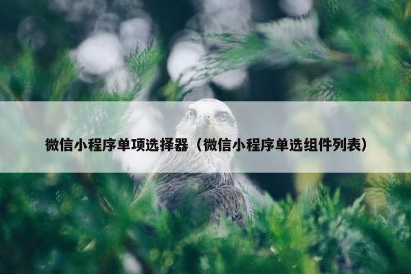 微信小程序单项选择器（微信小程序单选组件列表）