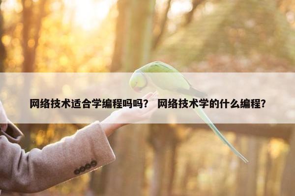网络技术适合学编程吗吗？ 网络技术学的什么编程？