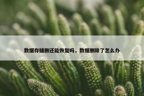 数据存储删还能恢复吗，数据删除了怎么办