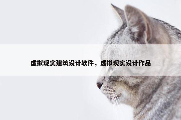 虚拟现实建筑设计软件，虚拟现实设计作品
