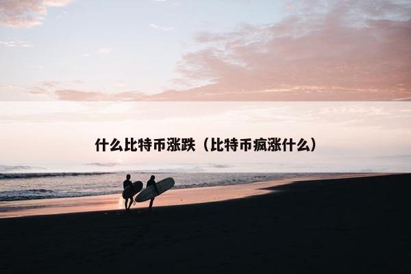 什么比特币涨跌（比特币疯涨什么）
