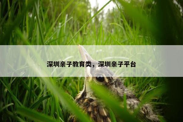 深圳亲子教育类，深圳亲子平台