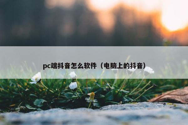 pc端抖音怎么软件（电脑上的抖音）