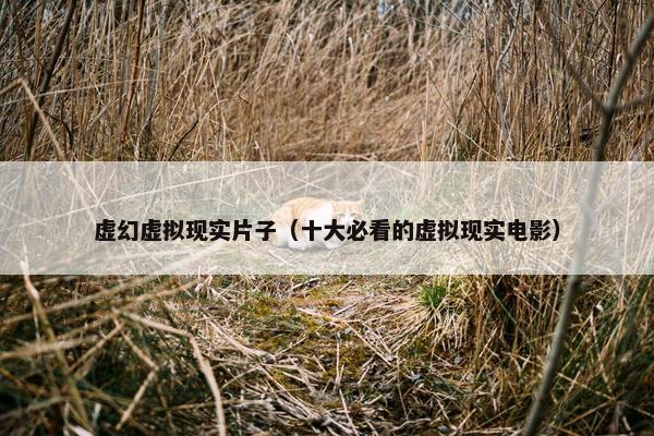 虚幻虚拟现实片子（十大必看的虚拟现实电影）