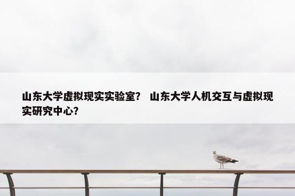 山东大学虚拟现实实验室？ 山东大学人机交互与虚拟现实研究中心？