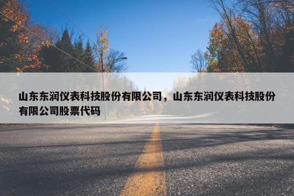 山东东润仪表科技股份有限公司，山东东润仪表科技股份有限公司股票代码