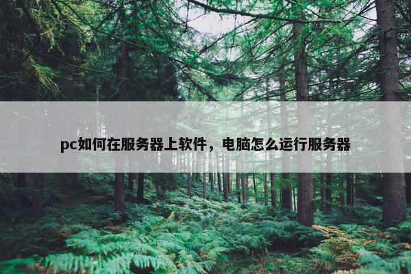 pc如何在服务器上软件，电脑怎么运行服务器