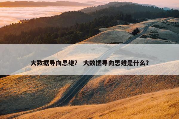 大数据导向思维？ 大数据导向思维是什么？