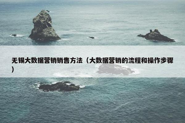 无锡大数据营销销售方法（大数据营销的流程和操作步骤）
