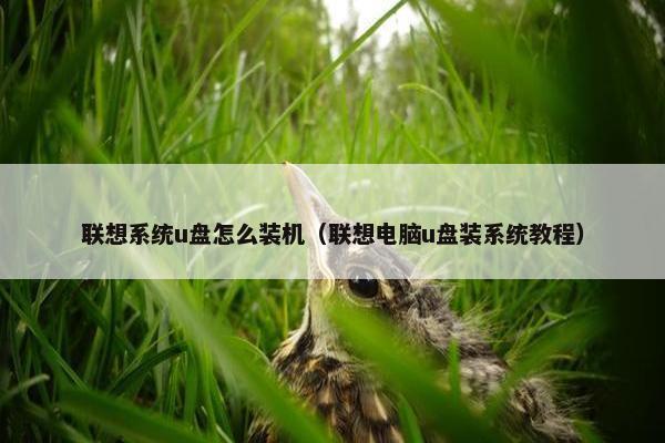 联想系统u盘怎么装机（联想电脑u盘装系统教程）