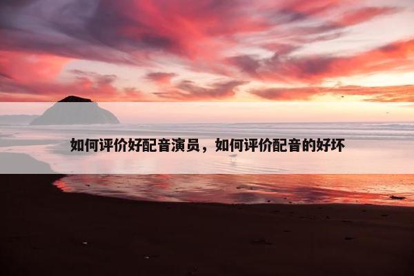 如何评价好配音演员，如何评价配音的好坏