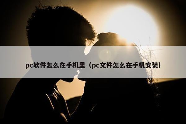 pc软件怎么在手机里（pc文件怎么在手机安装）