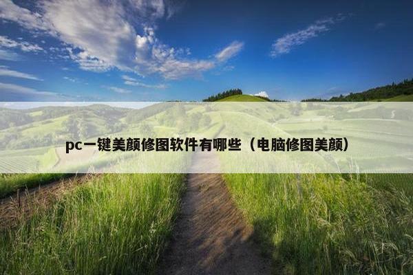pc一键美颜修图软件有哪些（电脑修图美颜）