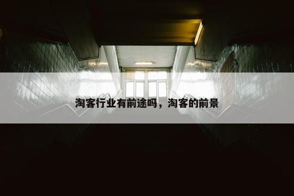 淘客行业有前途吗，淘客的前景