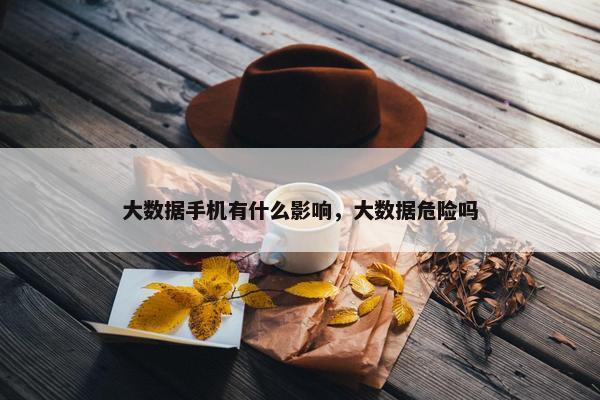 大数据手机有什么影响，大数据危险吗