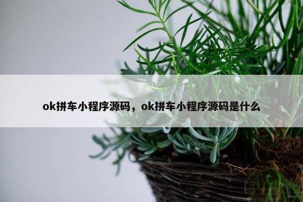 ok拼车小程序源码，ok拼车小程序源码是什么