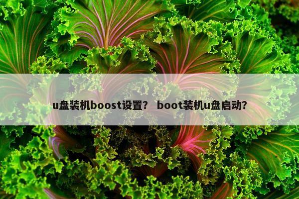 u盘装机boost设置？ boot装机u盘启动？