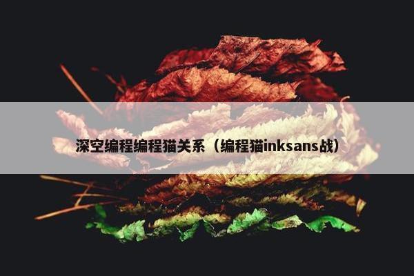 深空编程编程猫关系（编程猫inksans战）