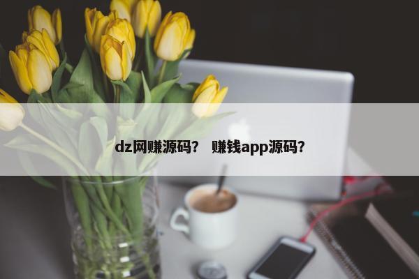 dz网赚源码？ 赚钱app源码？